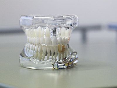 teeth mold for dentures 